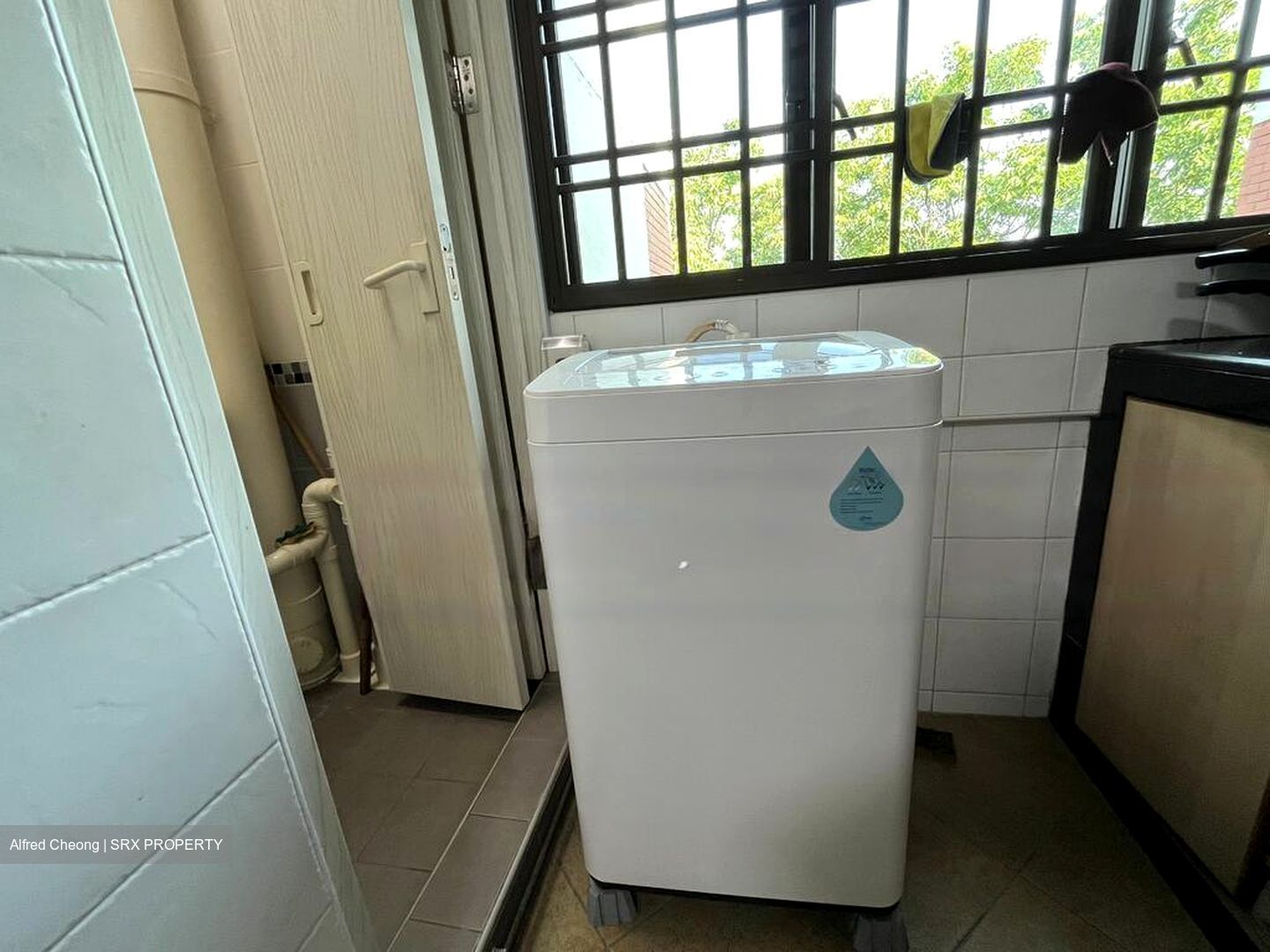 Blk 547 Jurong West Street 42 (Jurong West), HDB Executive #460793761
